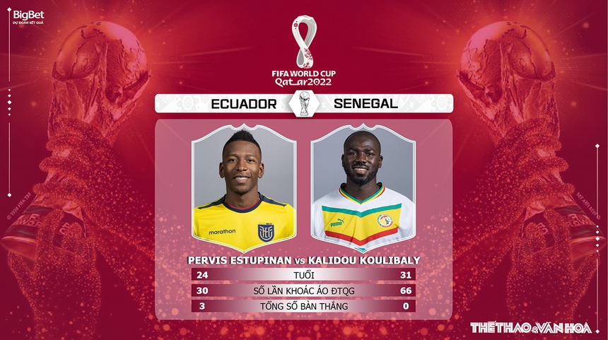 Nhận định kèo Ecuador vs Senegal (22h00, 29/11), World Cup 2022 - Ảnh 6. Nhận định kèo Ecuador vs Senegal (22h00, 29/11), World Cup 2022 - Ảnh 6.
