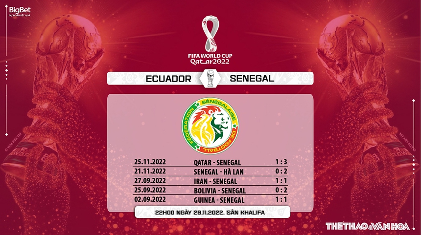 Nhận định kèo Ecuador vs Senegal (22h00, 29/11), World Cup 2022 - Ảnh 9. Nhận định kèo Ecuador vs Senegal (22h00, 29/11), World Cup 2022 - Ảnh 9.