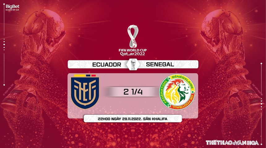 Nhận định kèo Ecuador vs Senegal (22h00, 29/11), World Cup 2022 - Ảnh 11. Nhận định kèo Ecuador vs Senegal (22h00, 29/11), World Cup 2022 - Ảnh 11.