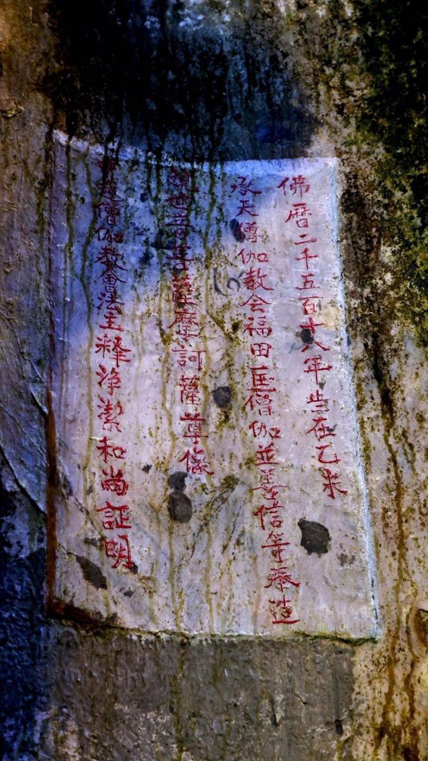 Chào tuần mới: Niềm vui từ di sản tư liệu - Ảnh 1.