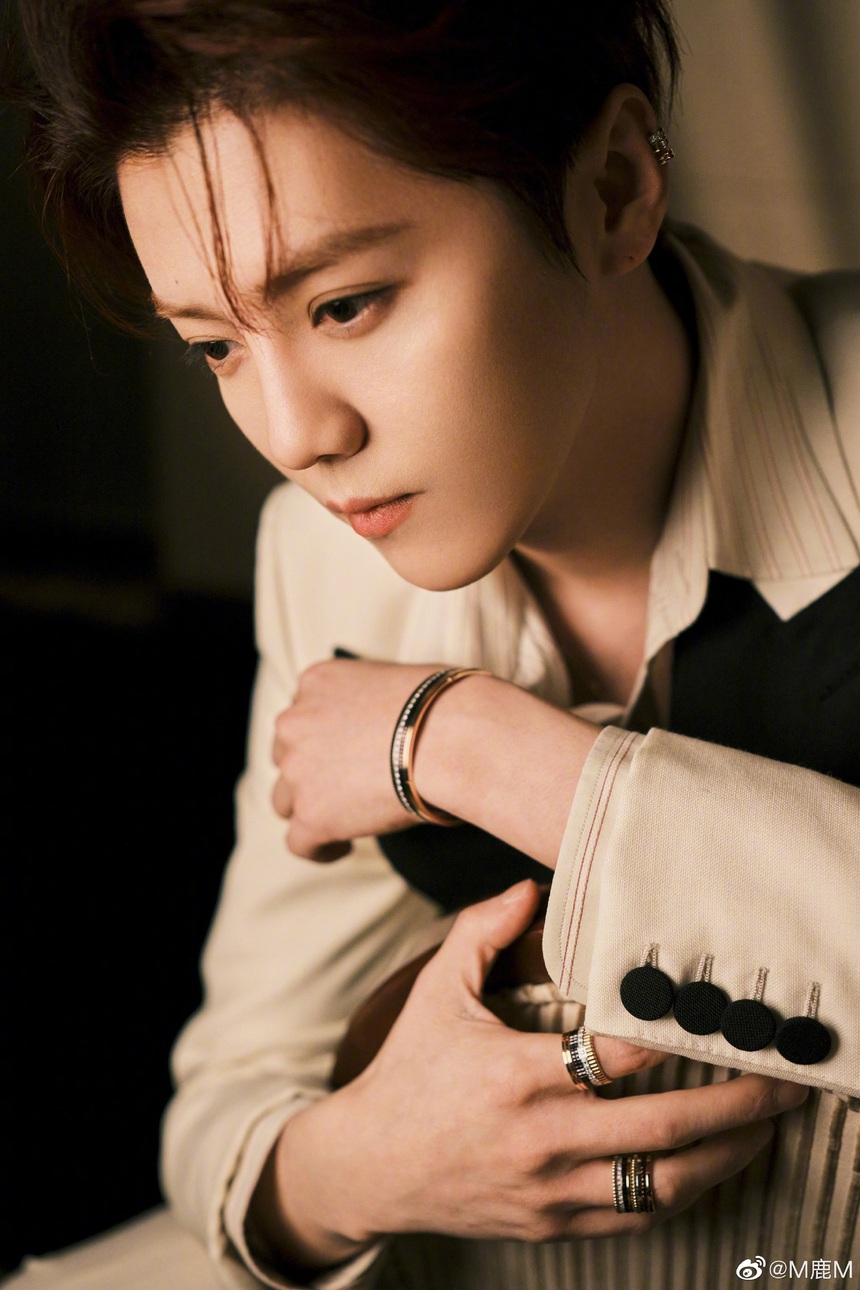 Lộc Hàm hiện đã hoạt động trong ngành được 11 năm