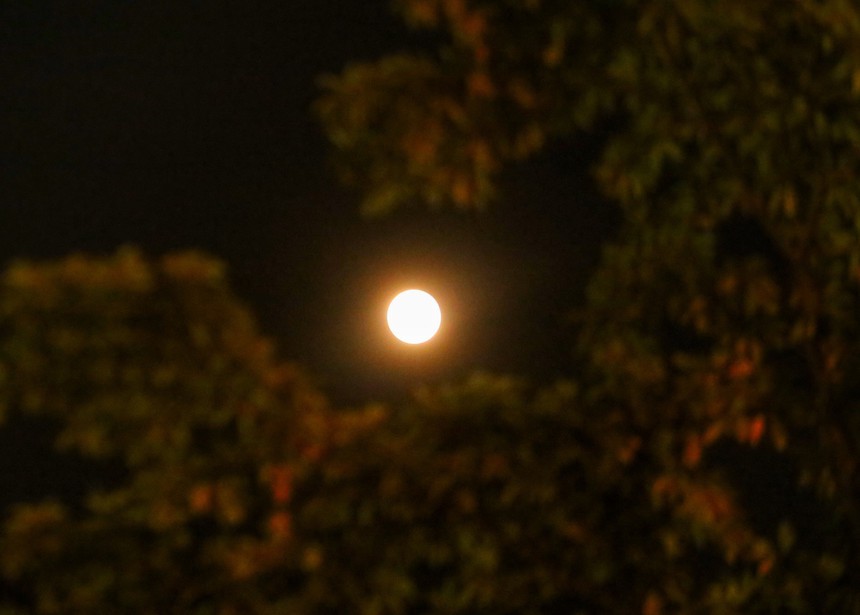 Chiêm ngưỡng hiện tượng nguyệt thực toàn phần cuối cùng năm 2022 - Ảnh 2. Chiêm ngưỡng hiện tượng nguyệt thực toàn phần cuối cùng năm 2022 - Ảnh 2.