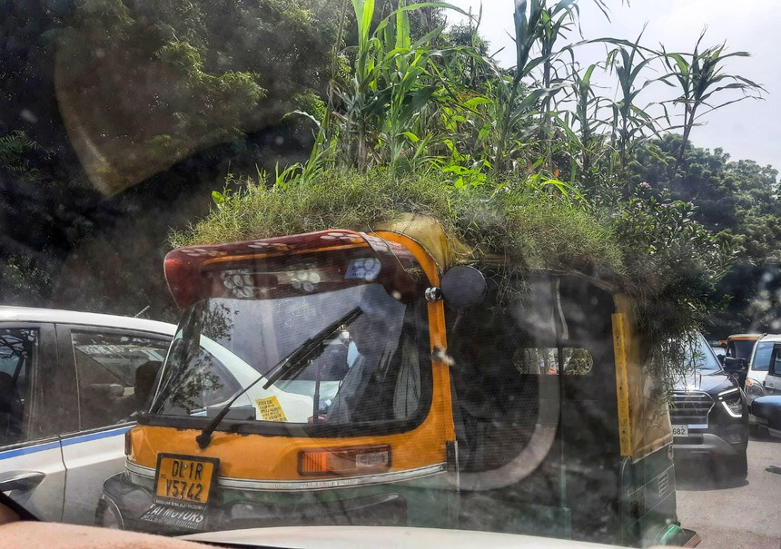 Ấn Độ du ký (kỳ 1): Túc túc và nghi lễ "cúng xe" - Ảnh 2.