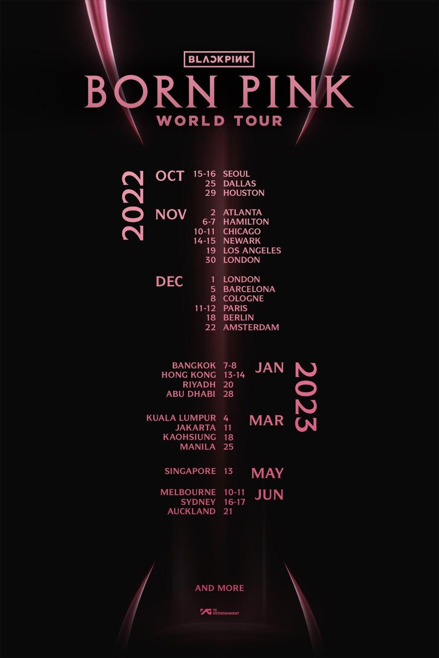 (Tin Chủ nhật) World tour của Blackpink kiếm tiền khủng ra sao - Ảnh 4.