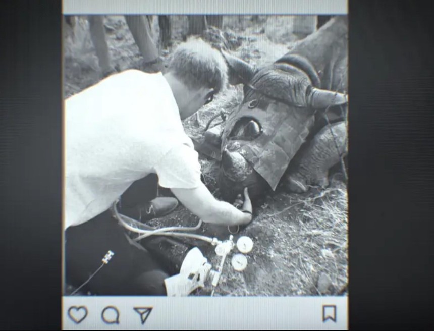 Bên lề drama: 8 chi tiết nhỏ nhưng ngọt ngào và thú vị trong bộ phim tài liệu "bom tấn" của Harry và Meghan - Ảnh 1.