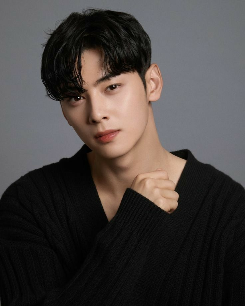 Những thần tượng K-pop có IQ cực cao - Ảnh 4.