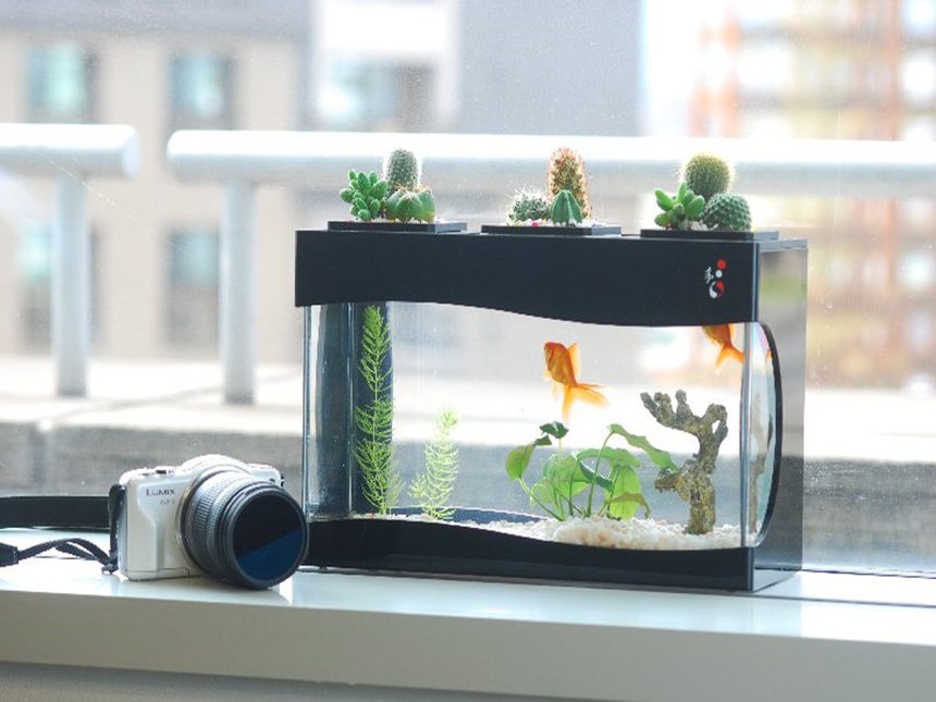 7 món đồ quen thuộc bạn không nên đặt trong phòng ngủ  - Ảnh 5.