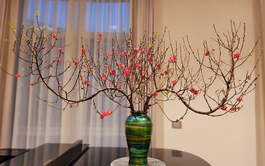 Tại sao Tết đến cứ phải mua hoa đào? - Ảnh 4. Tại sao Tết đến cứ phải mua hoa đào? - Ảnh 4.