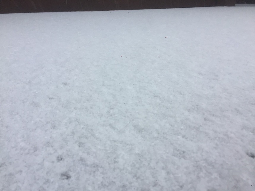 Xuất hiện tuyết rơi phủ trắng đỉnh Fansipan, khung cảnh đẹp huyền ảo như giữa trời Âu - Ảnh 10. Xuất hiện tuyết rơi phủ trắng đỉnh Fansipan, khung cảnh đẹp huyền ảo như giữa trời Âu - Ảnh 10.