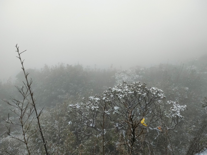 Xuất hiện tuyết rơi phủ trắng đỉnh Fansipan, khung cảnh đẹp huyền ảo như giữa trời Âu - Ảnh 13. Xuất hiện tuyết rơi phủ trắng đỉnh Fansipan, khung cảnh đẹp huyền ảo như giữa trời Âu - Ảnh 13.