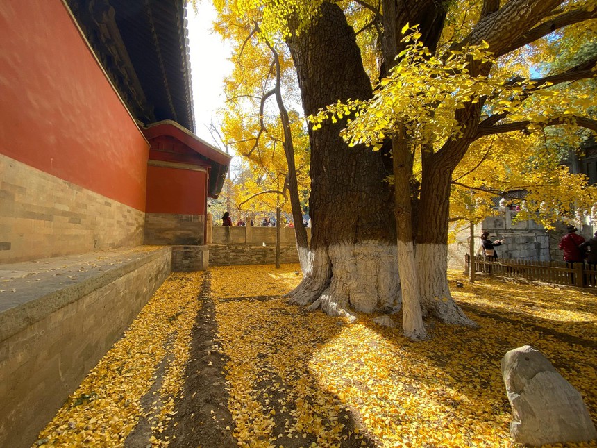 Tại sao 'Vượt qua đại nạn ắt có hậu phúc'? Tất cả đều chứa đựng đạo lý! - Ảnh 3. Tại sao 'Vượt qua đại nạn ắt có hậu phúc'? Tất cả đều chứa đựng đạo lý! - Ảnh 3.