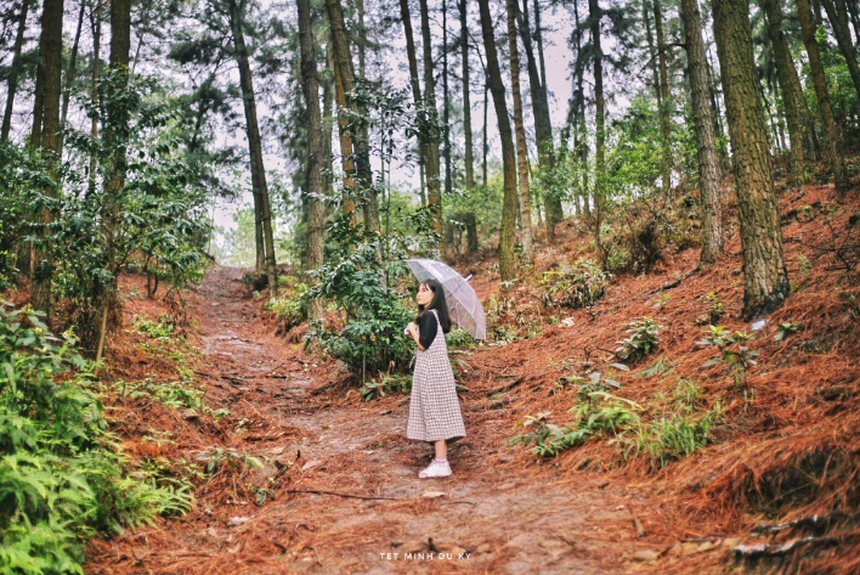 Nghỉ Tết dương 3 ngày, tham khảo ngay 5 địa điểm cắm trại gần Hà Nội: Trải nghiệm không khí Đà Lạt giữa lòng miền Bắc - Ảnh 4.