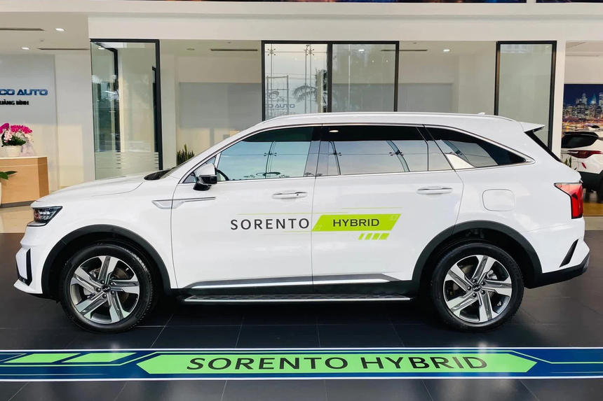Bùng nổ xe hybrid tại Việt Nam năm 2022: Hàng 'hot' Santa Fe cũng phải nhập cuộc - Ảnh 3.