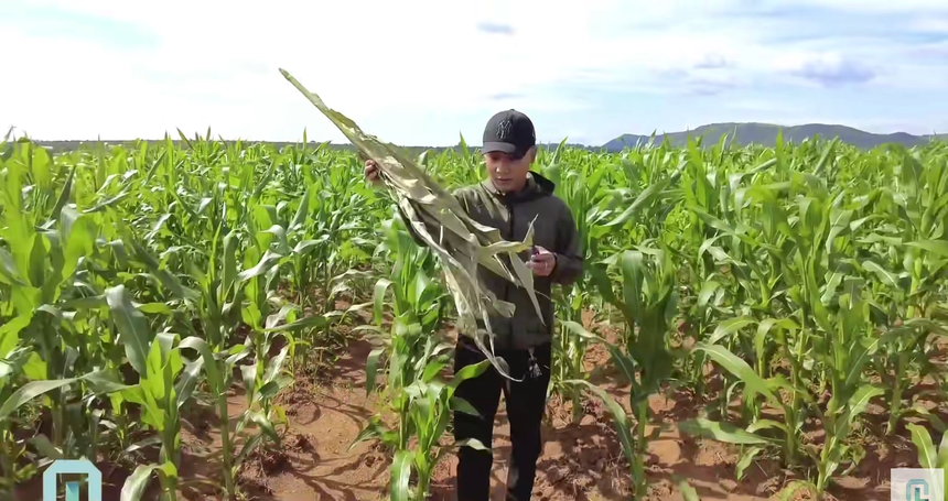 Quang Linh Vlog liên tiếp gặp sự cố cuối năm, lần này lại thất vọng vì 4 thành viên team châu Phi - Ảnh 4.