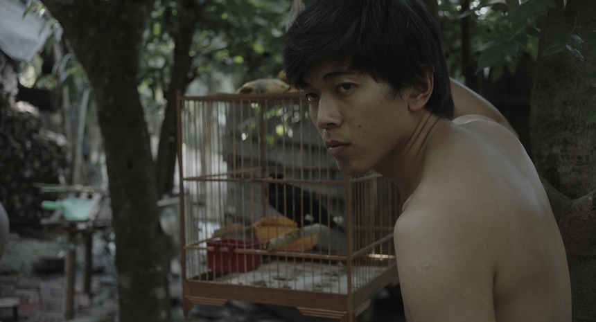 "Tro tàn rực rỡ" - Đốm sáng cuối năm của điện ảnh Việt - Ảnh 2.