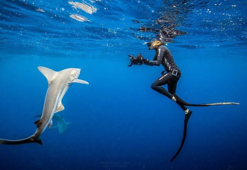 Cô gái đa tài vừa làm nhà khoa học, vừa làm người mẫu chuyên nghiệp - Ảnh 5.