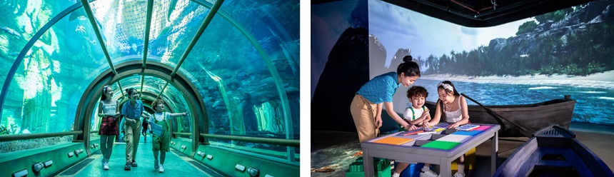 Vi vu Giáng sinh đảo ngọc, check-in cây thông độc đáo khổng lồ cao 23m - Ảnh 8. Vi vu Giáng sinh đảo ngọc, check-in cây thông độc đáo khổng lồ cao 23m - Ảnh 8.