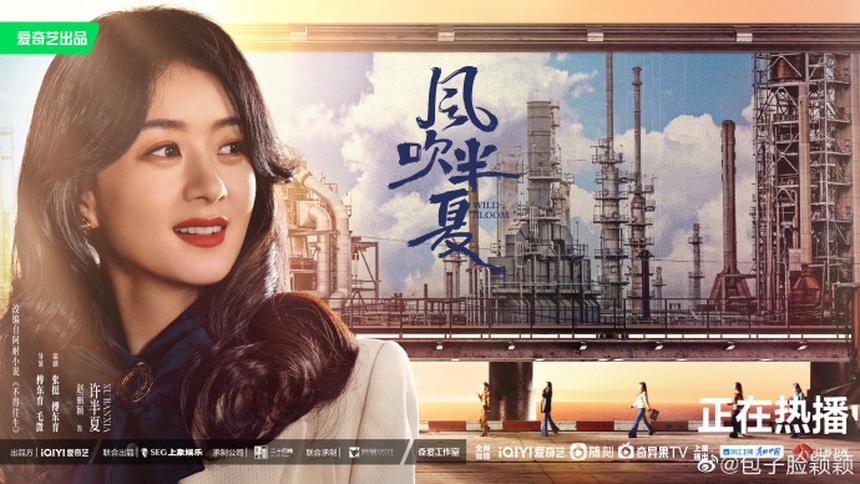 (TIN THỨ 7) 2 bộ phim cực thành công của Triệu Lệ Dĩnh năm 2022 - Ảnh 3. (TIN THỨ 7) 2 bộ phim cực thành công của Triệu Lệ Dĩnh năm 2022 - Ảnh 3.