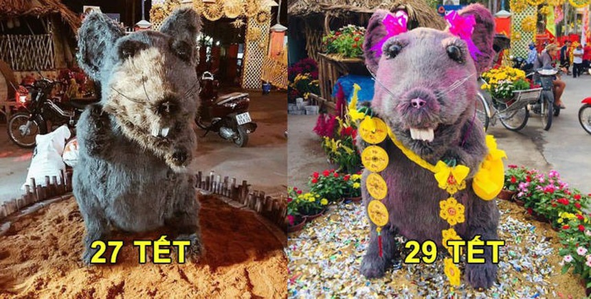 Thêm một linh vật mèo kỳ lạ ở công viên Thống Nhất - Ảnh 12.