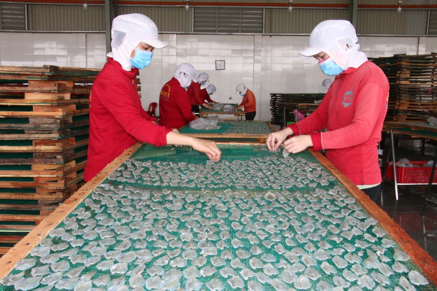 Chuyên gia Anh lạc quan về triển vọng kinh tế Việt Nam - Ảnh 2.