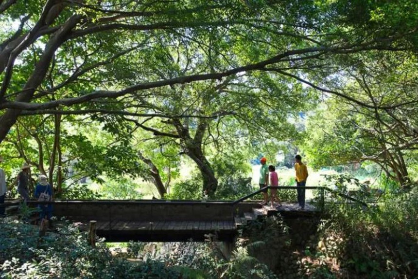 24 gia đình "khá giả" góp tiền tỷ mua 8.000m2 đất hoang xây làng "biệt phủ": Xây dựng mất 4 năm, giá nhà tăng chóng mặt sau 10 năm - Ảnh 4.