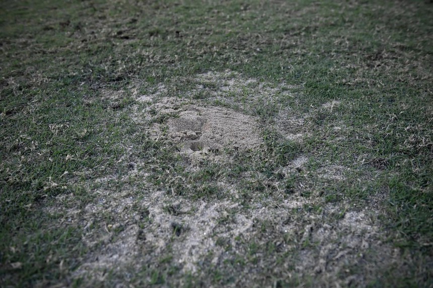 Cập nhật bóng đá Việt Nam vs Thái Lan (19h30, 13/1) - Ảnh 1.