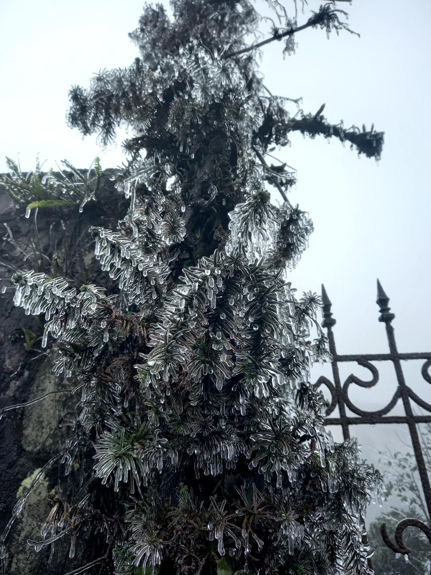 Từ&nbsp;đêm&nbsp;15-18/1,&nbsp;vùng núi&nbsp;cao Bắc Bộ khả năng&nbsp;xảy ra&nbsp;mưa tuyết và băng giá - Ảnh 1.