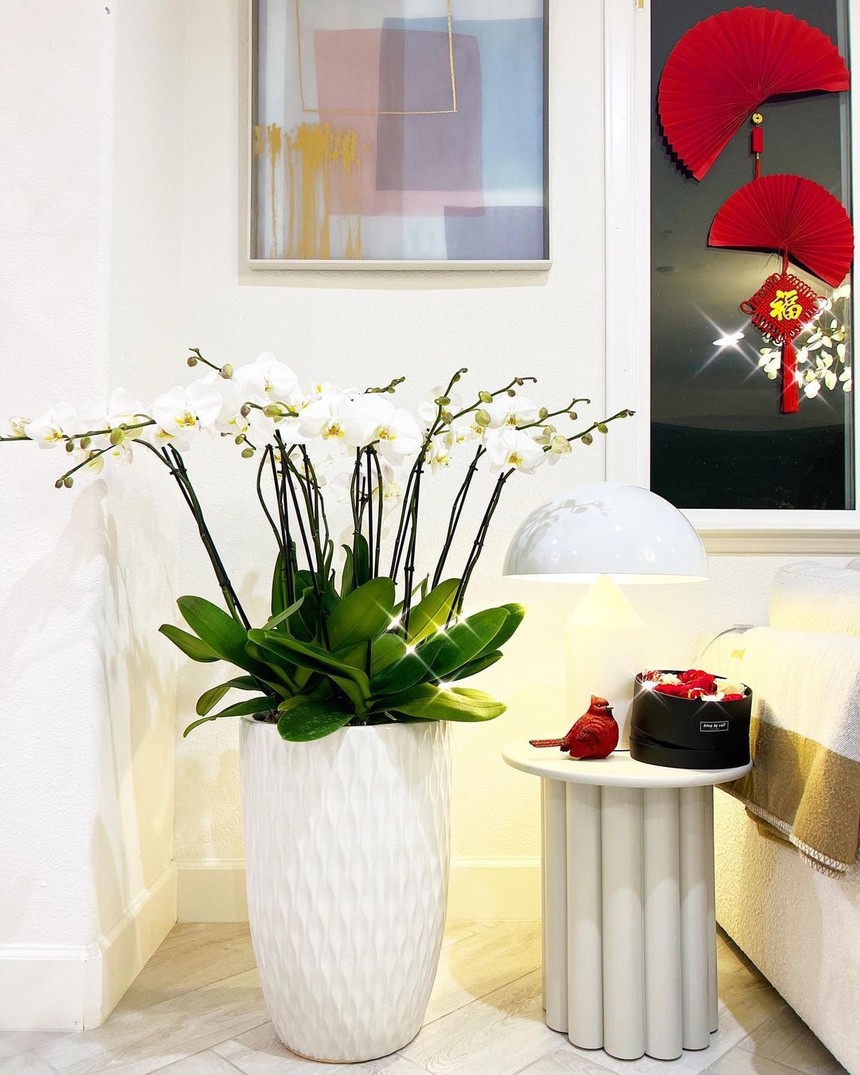 Phạm Hương đón Tết tại Mỹ: 5 bình hoa đặc trưng ngày Tết, không gian lung linh ... - Ảnh 5.