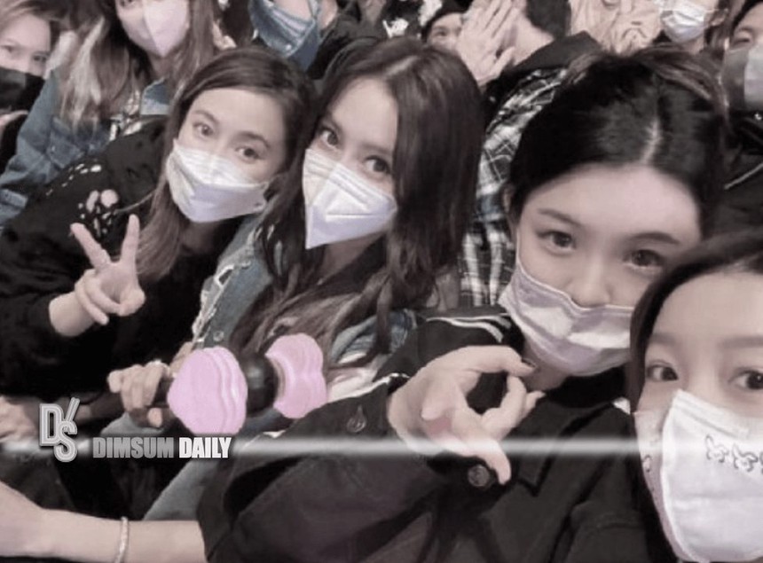 Angelababy ngập trong bình luận tiêu cực khi đến concert của Blackpink - Ảnh 2.