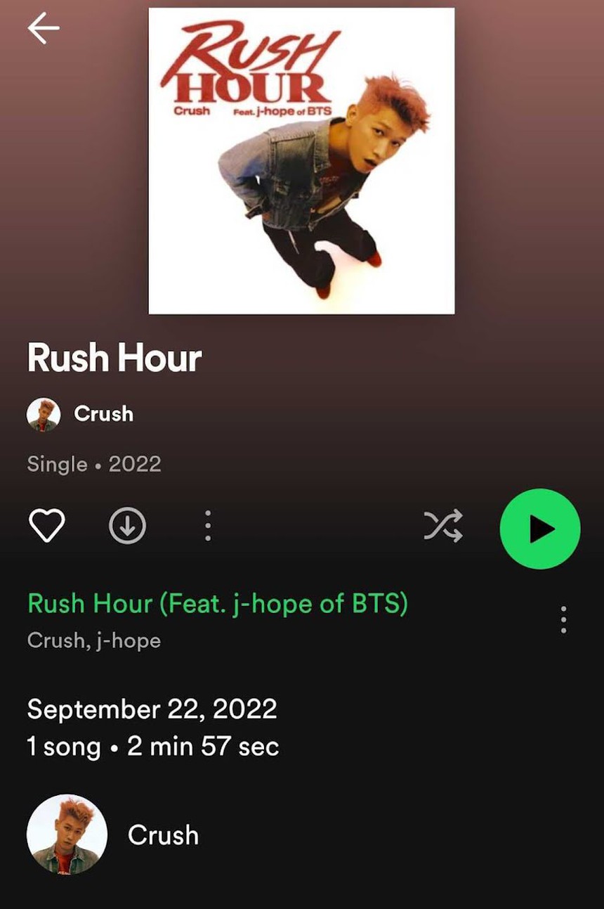 ARMY yêu cầu làm rõ việc Jimin không có tên trong phiên bản 'Vibe' của The Black Label - Ảnh 9.