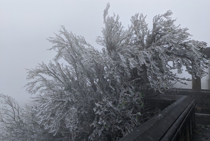 Băng giá xuất hiện tại đỉnh Mẫu Sơn, Lạng Sơn  - Ảnh 1.