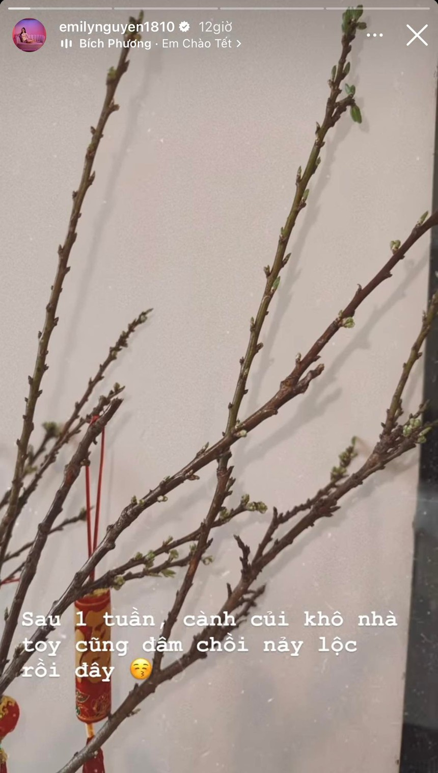 Tình hình sắm Tết của sao Việt: Người mua quà biếu cha mẹ từ sớm, người khoe hoá đơn shopping dài cả mét  - Ảnh 11.