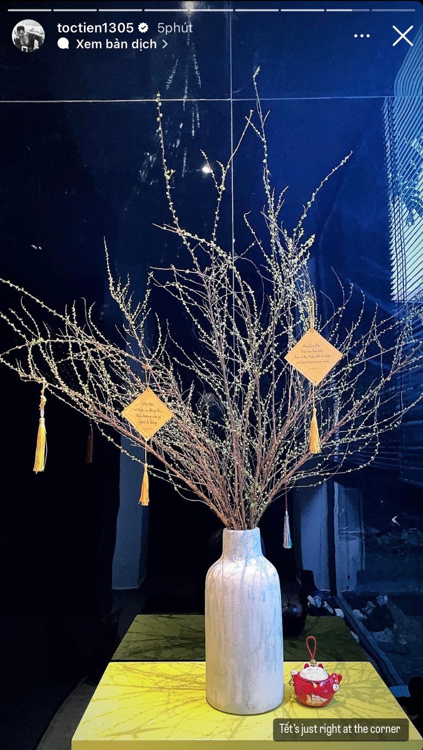 Tình hình sắm Tết của sao Việt: Người mua quà biếu cha mẹ từ sớm, người khoe hoá đơn shopping dài cả mét  - Ảnh 9.