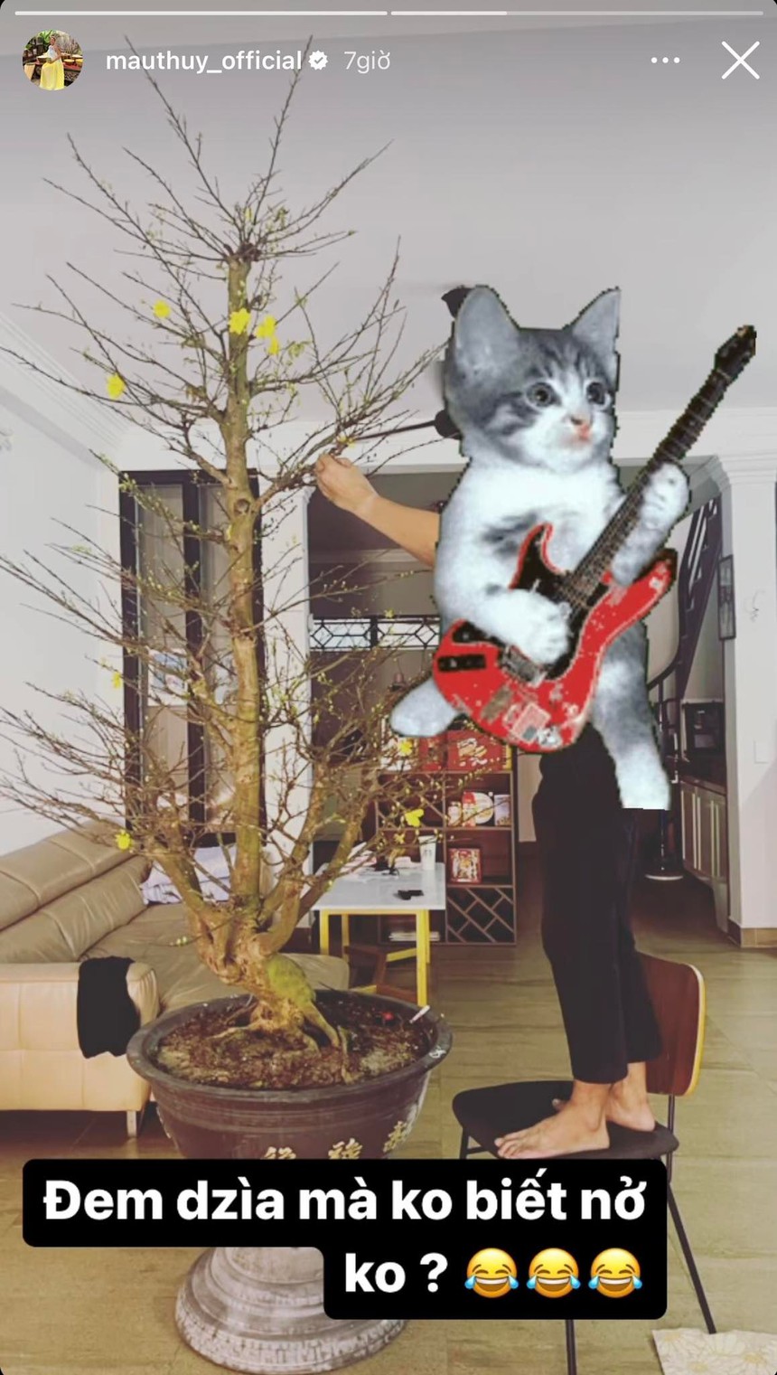 Cây cảnh chơi Tết của sao Việt: H'Hen Niê mang cả vườn hoa lên bản, Cường Đô La - Đàm Thu Trang tậu một lúc 5 loại chưng quanh nhà - Ảnh 15.