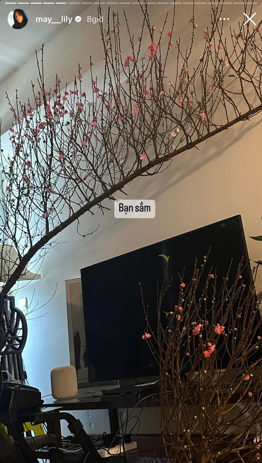 Cây cảnh chơi Tết của sao Việt: H'Hen Niê mang cả vườn hoa lên bản, Cường Đô La - Đàm Thu Trang tậu một lúc 5 loại chưng quanh nhà - Ảnh 5.