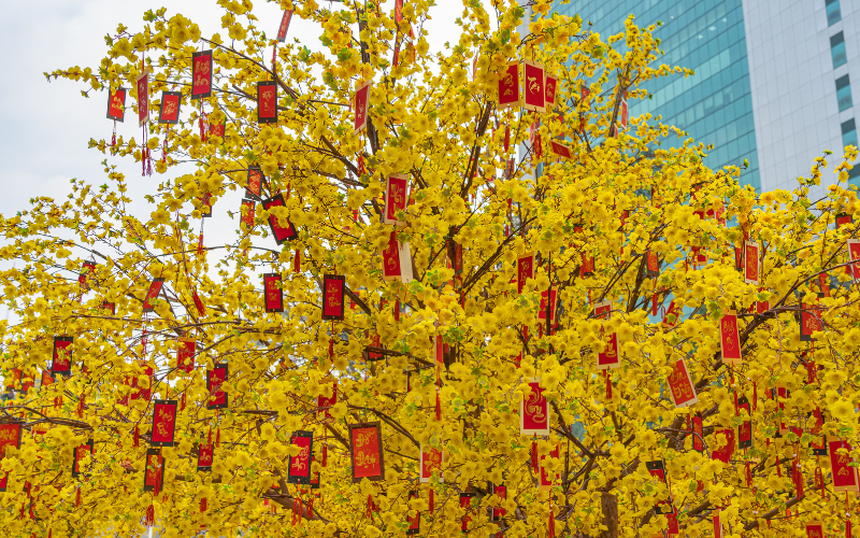 Chuyện phong bao lì xì và ý nghĩa thực sự của việc mừng tuổi đầu năm mới - Ảnh 1.