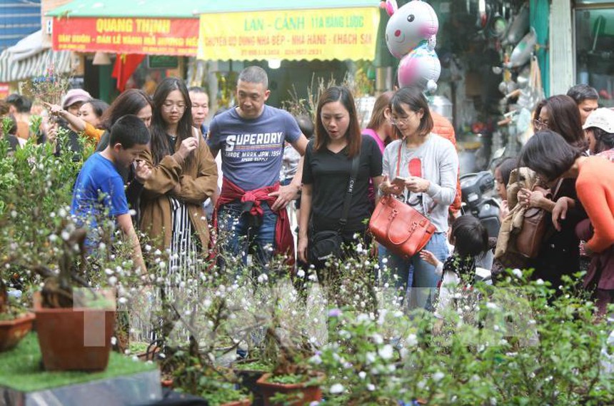 Những thú chơi tao nhã ngày Xuân của người Việt - Ảnh 4.