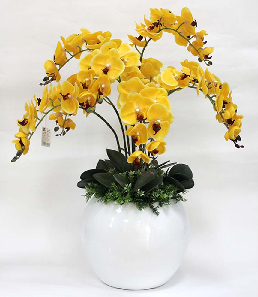 Nguyên nhân khiến 8 loài hoa này không được chưng trên bàn thờ ngày Tết - Ảnh 1.