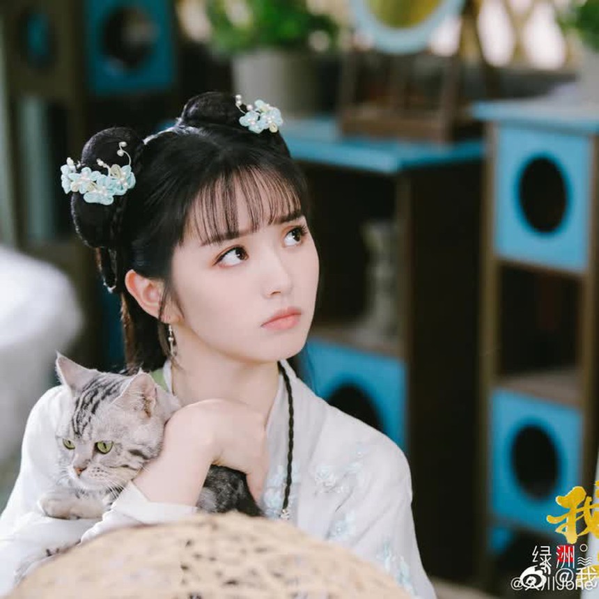 Mùng 1 'lấy hên' với loạt phim ngôn tình về mèo hấp dẫn nhất: Muốn ngắm mặt mộc của Cúc Tịnh Y thời tân binh thì vào ngay! - Ảnh 1.