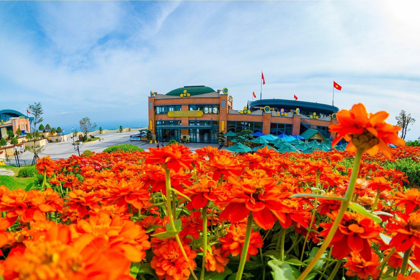 Núi Bà Đen gây sốt với khung cảnh đẹp tựa bồng lai dịp Tết - Ảnh 10.