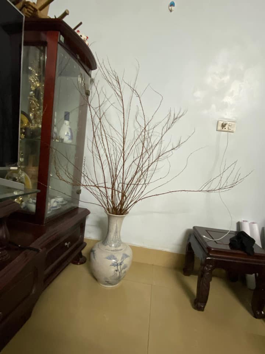 30 Tết nhưng "đại chiến" tuyết mai vẫn chưa có hồi kết: Người vẫn hoàn củi khô, nhà nở hoa rực rỡ - Ảnh 2.