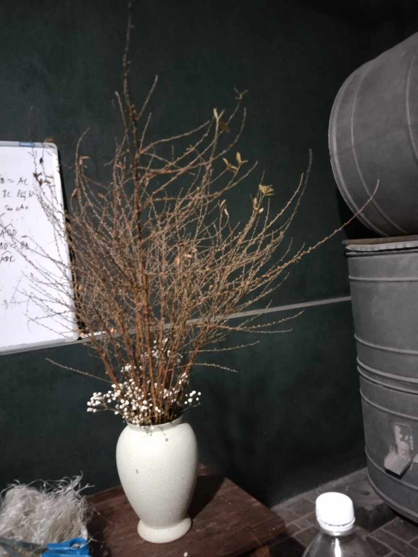 30 Tết nhưng "đại chiến" tuyết mai vẫn chưa có hồi kết: Người vẫn hoàn củi khô, nhà nở hoa rực rỡ - Ảnh 1.