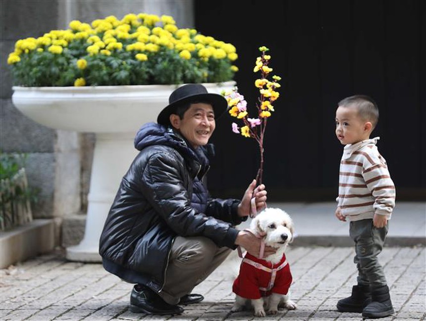 Hà Nội bình dị chiều 30 Tết - Ảnh 8.