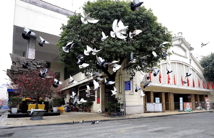 Một Hà Nội bình dị sớm đầu năm Quý Mão - Ảnh 2.