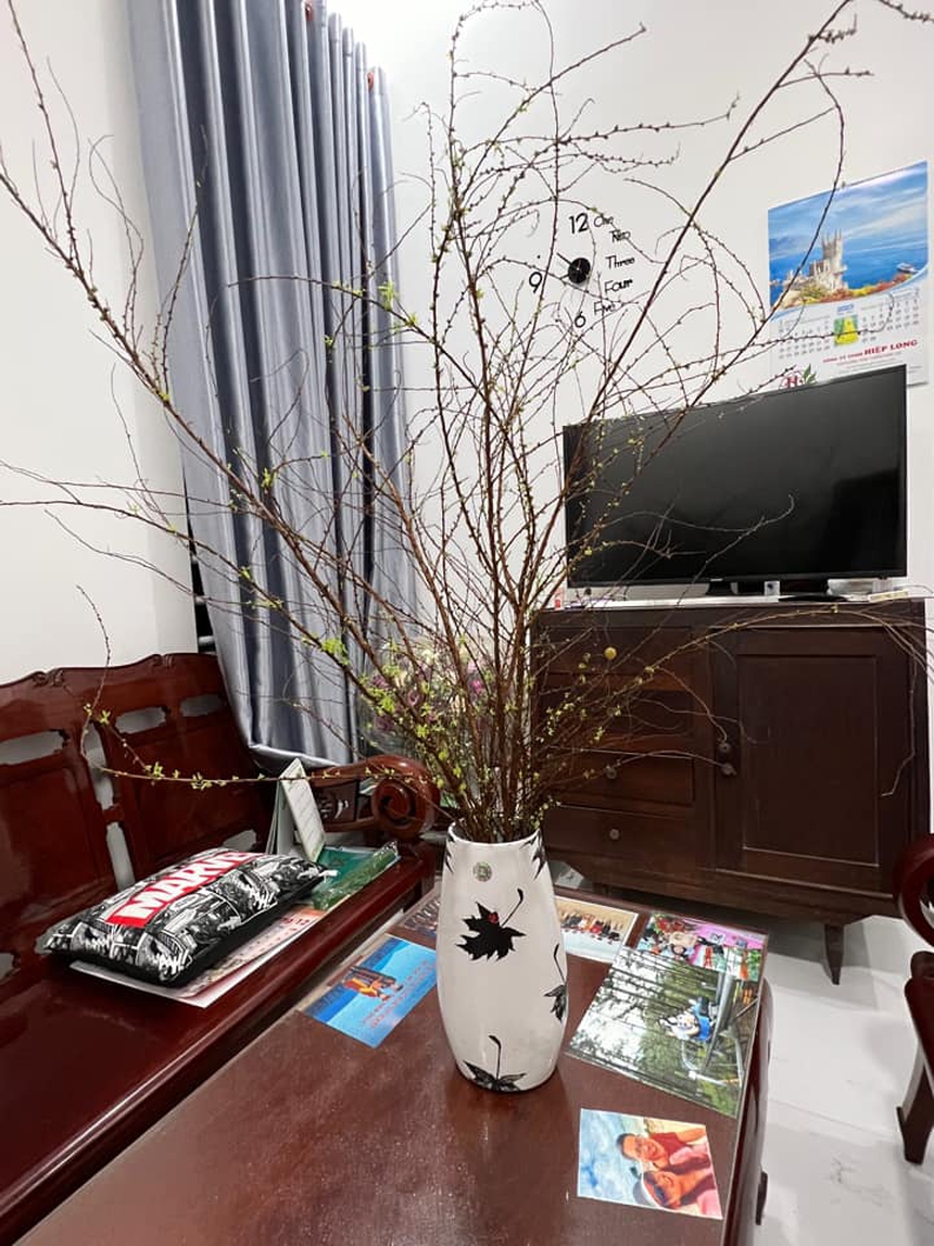 Chuyện chẳng của riêng ai: Chơi tuyết mai đến giờ gần hết Tết vẫn chưa thấy nở hoa - Ảnh 10.