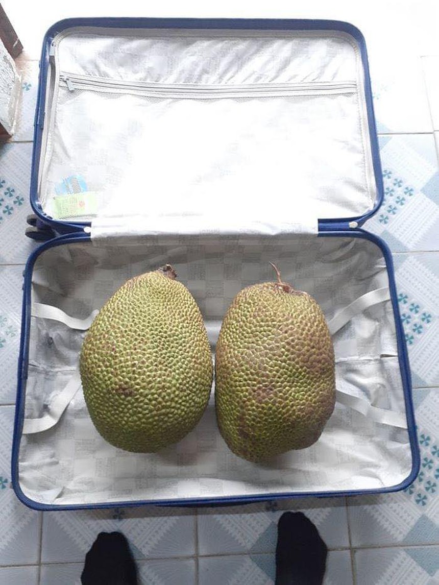 "Cười xỉu" với cảnh sinh viên chất đống thức ăn khi lên thành phố sau Tết - Ảnh 8.