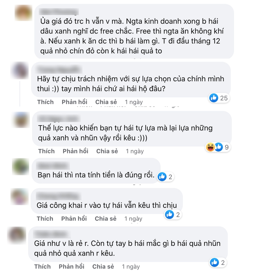 Đầu năm 'bóc phốt' vườn dâu tại Sa Pa nhưng nữ du khách lại bị cộng đồng mạng phản đối vì quá vô lý - Ảnh 3.