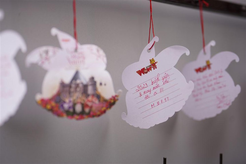 Ngập tràn không khí Tết trong Lễ hội Vạn sắc hoa xuân tại Bà Nà - Ảnh 6.