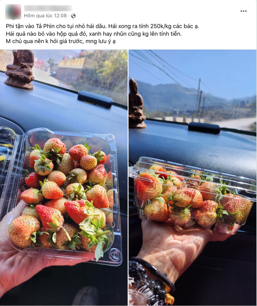 Đầu năm 'bóc phốt' vườn dâu tại Sa Pa nhưng nữ du khách lại bị cộng đồng mạng phản đối vì quá vô lý - Ảnh 2.