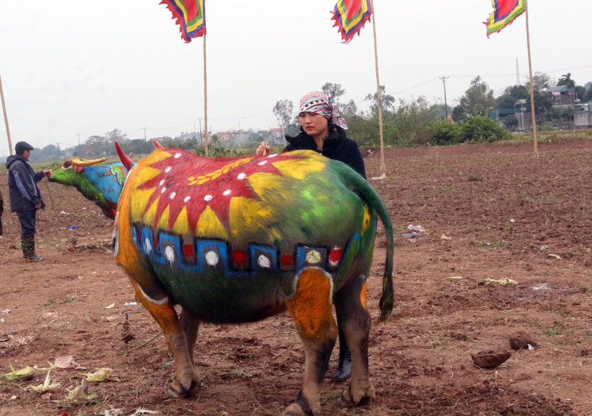 Hội thi vẽ trang trí trâu Lễ hội Tịch điền Đọi Sơn 2023 - Ảnh 3. Hội thi vẽ trang trí trâu Lễ hội Tịch điền Đọi Sơn 2023 - Ảnh 3.